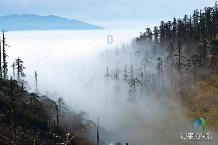 帮我看下aj1真假游戏画面