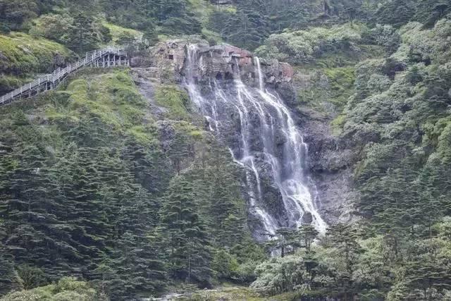 给小怪喂食
